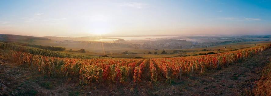 Logis Hotel L'Escargotiere Dijon Sud - Chenove Bagian luar foto